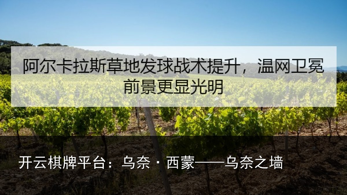开云棋牌平台：乌奈·西蒙——乌奈之墙