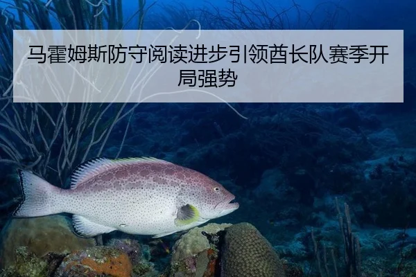 马霍姆斯防守阅读进步引领酋长队赛季开局强势