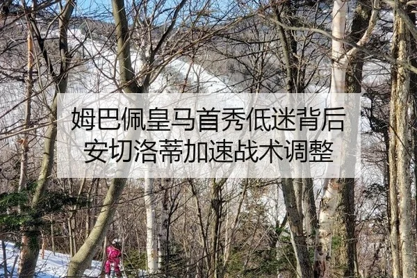 mu-ba-pei-huang-ma-shou-xiu-di-mi-bei-hou-an-qie-luo-di-jia-su-zhan-shu-tiao-zheng-2-309.jpg
